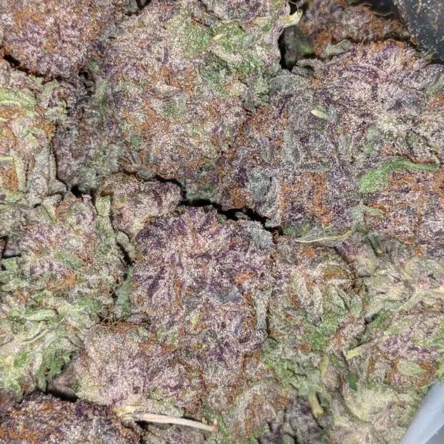 GOD GREEN CRACK 7 1 I $103 Oz - God's Green Crack
