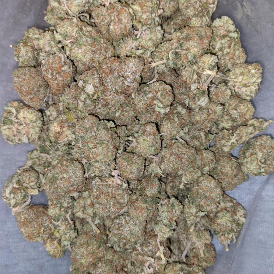 HINDU KUSH DOD 1 I Hindu Kush AA+
