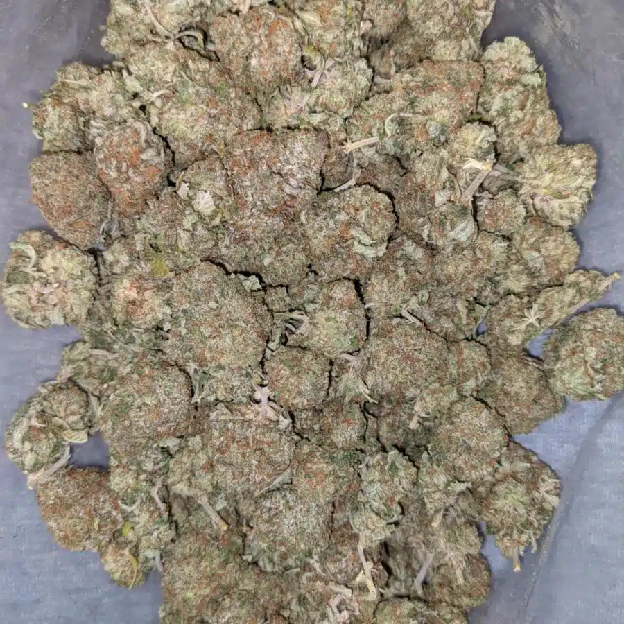 HINDU KUSH DOD 1 I Hindu Kush AA+