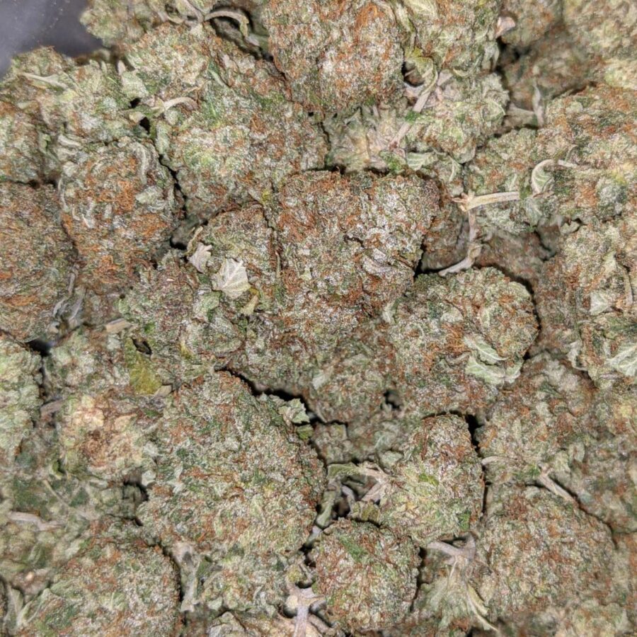 HINDU KUSH DOD 2 I Hindu Kush AA+