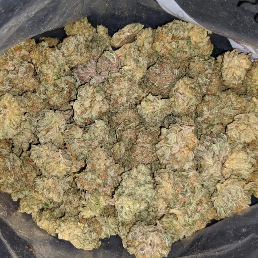 KUSHBERRY DOD 1 I $107 Oz - Kushberry