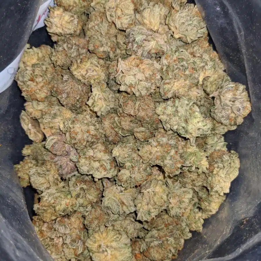 KUSHBERRY DOD 2 I $107 Oz - Kushberry