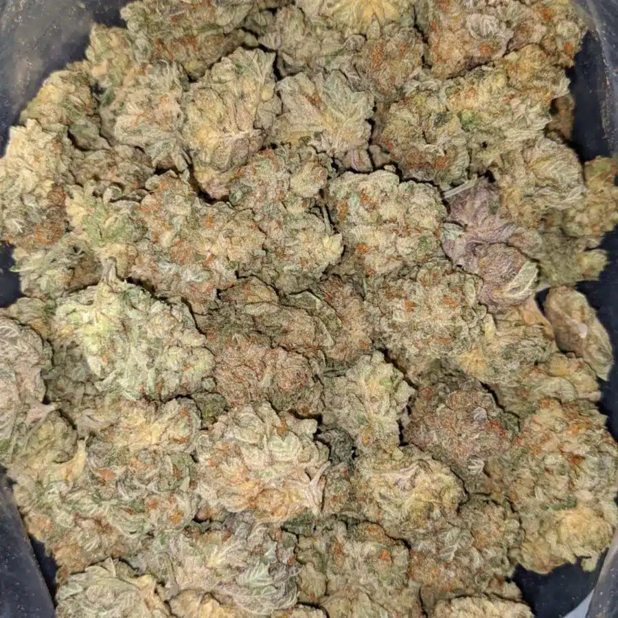KUSHBERRY DOD 3 I $107 Oz - Kushberry