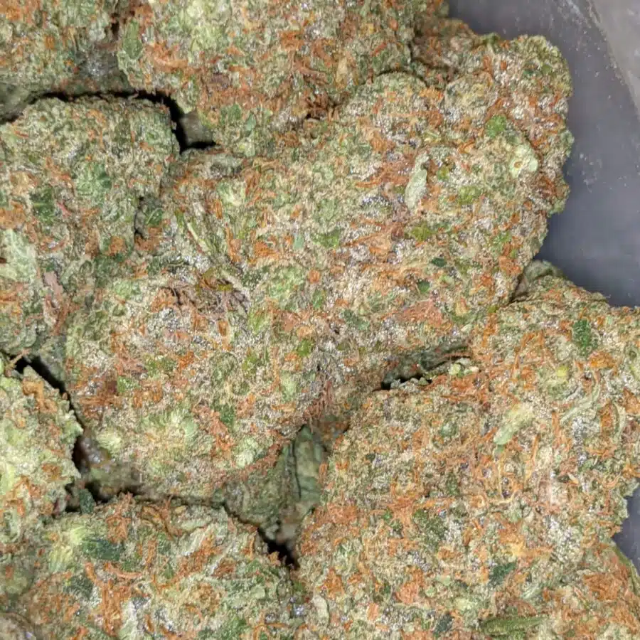 PINEAPPLE EXPRESS AAAA 4 I $99 Oz -Pineapple Express