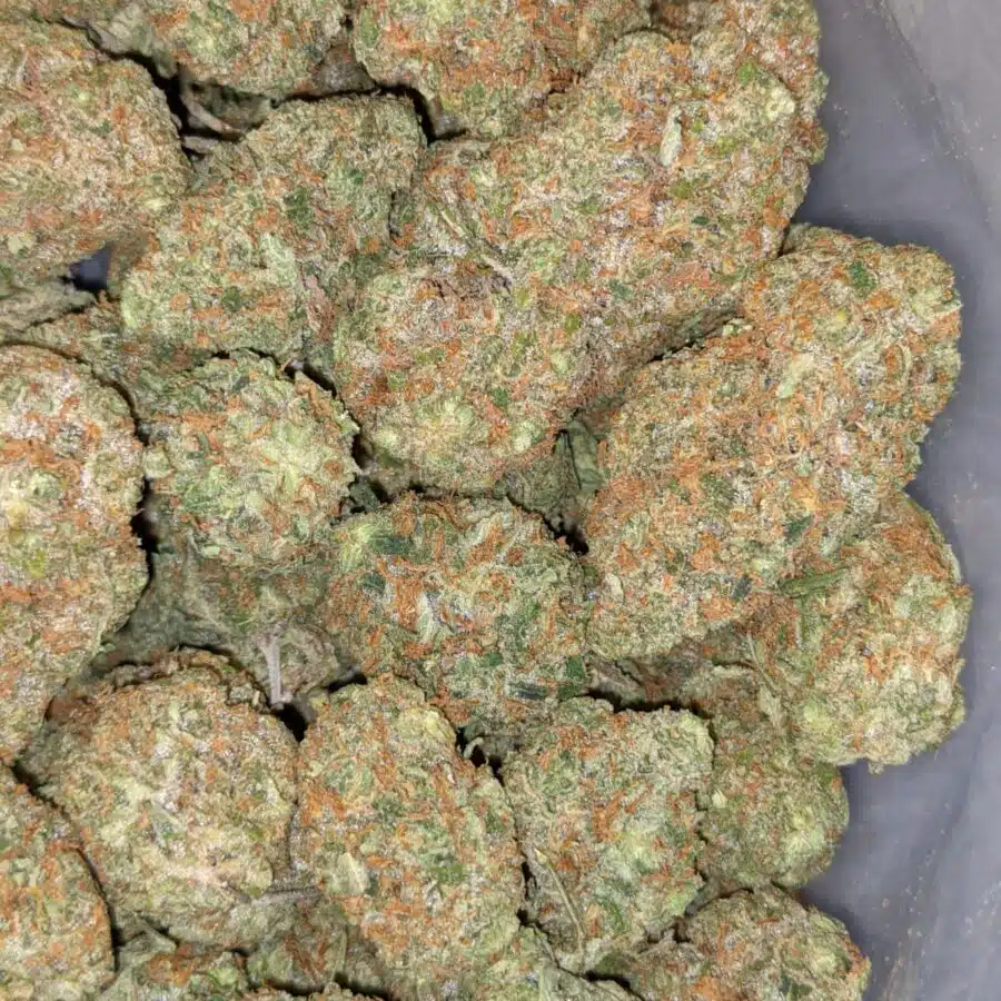 PINEAPPLE EXPRESS AAAA 6 I $99 Oz -Pineapple Express