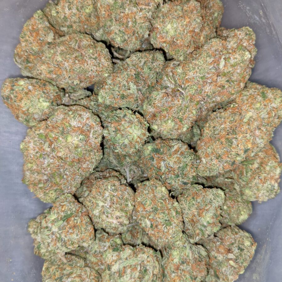 PINEAPPLE EXPRESS AAAA 7 I $99 Oz -Pineapple Express