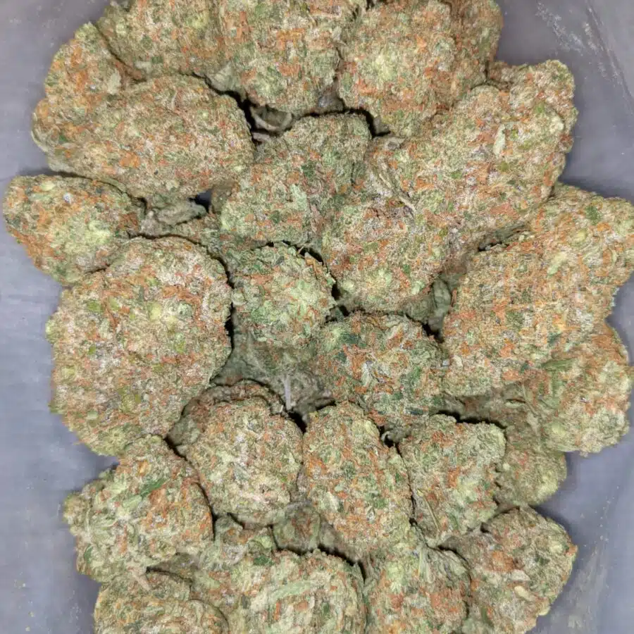 PINEAPPLE EXPRESS AAAA 7 I $99 Oz -Pineapple Express