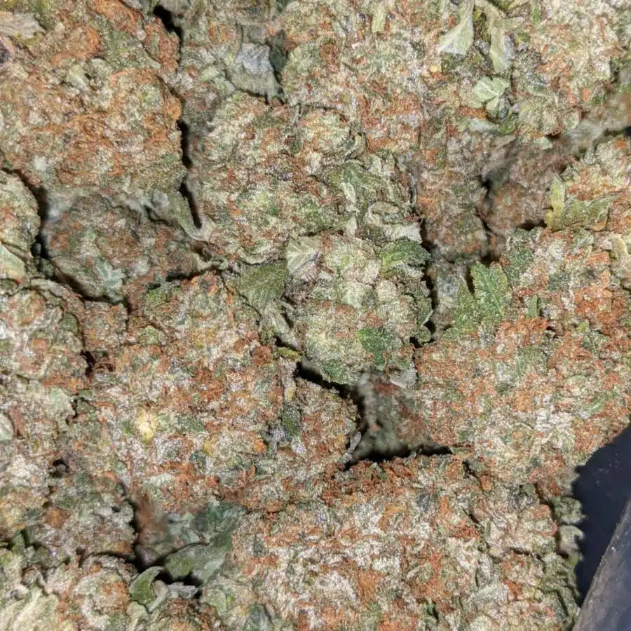 PRE 98 BUBBA 3 I $69 Oz - Pre 98 Bubba