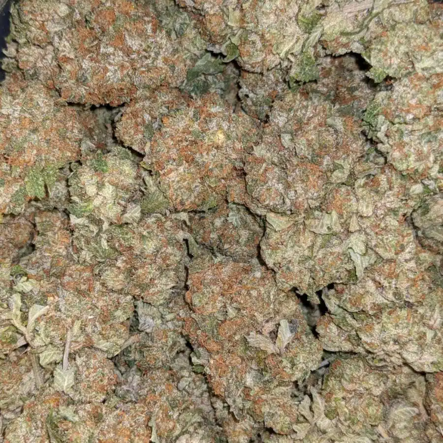 PRE 98 BUBBA 4 I $69 Oz - Pre 98 Bubba