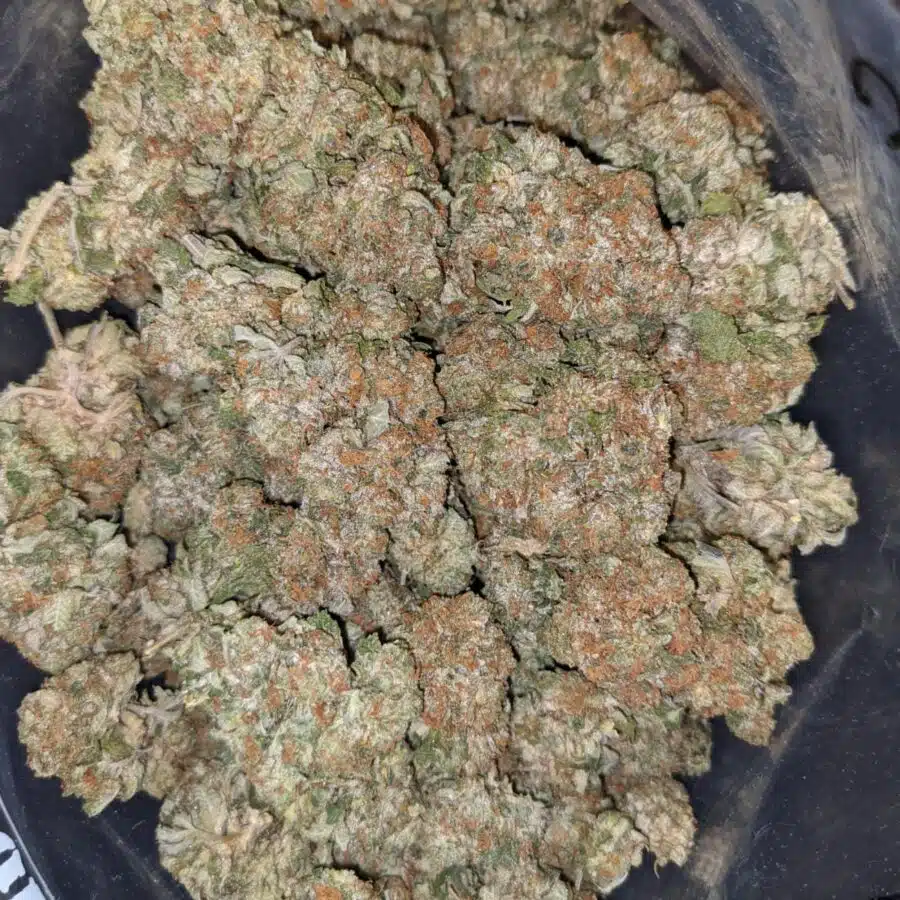 PRE 98 BUBBA 5 I $69 Oz - Pre 98 Bubba