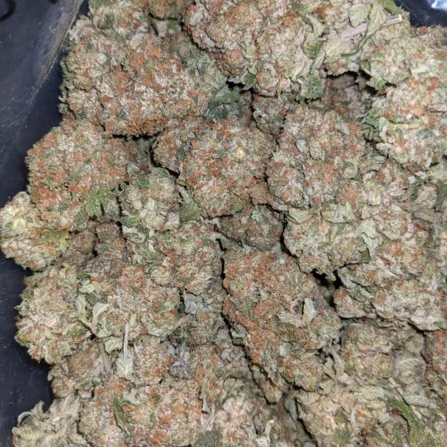 PRE 98 BUBBA 6 I $69 Oz - Pre 98 Bubba