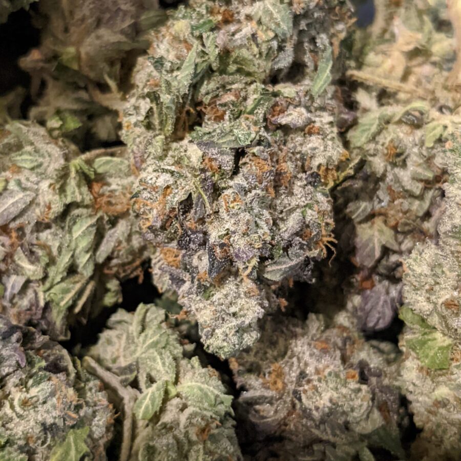 Purple Bubba #2 - Image 5