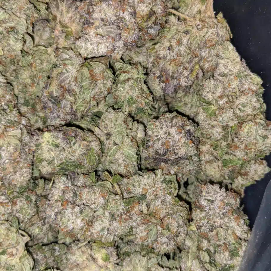 PURPLE BUBBA 6 I Purple Bubba #2