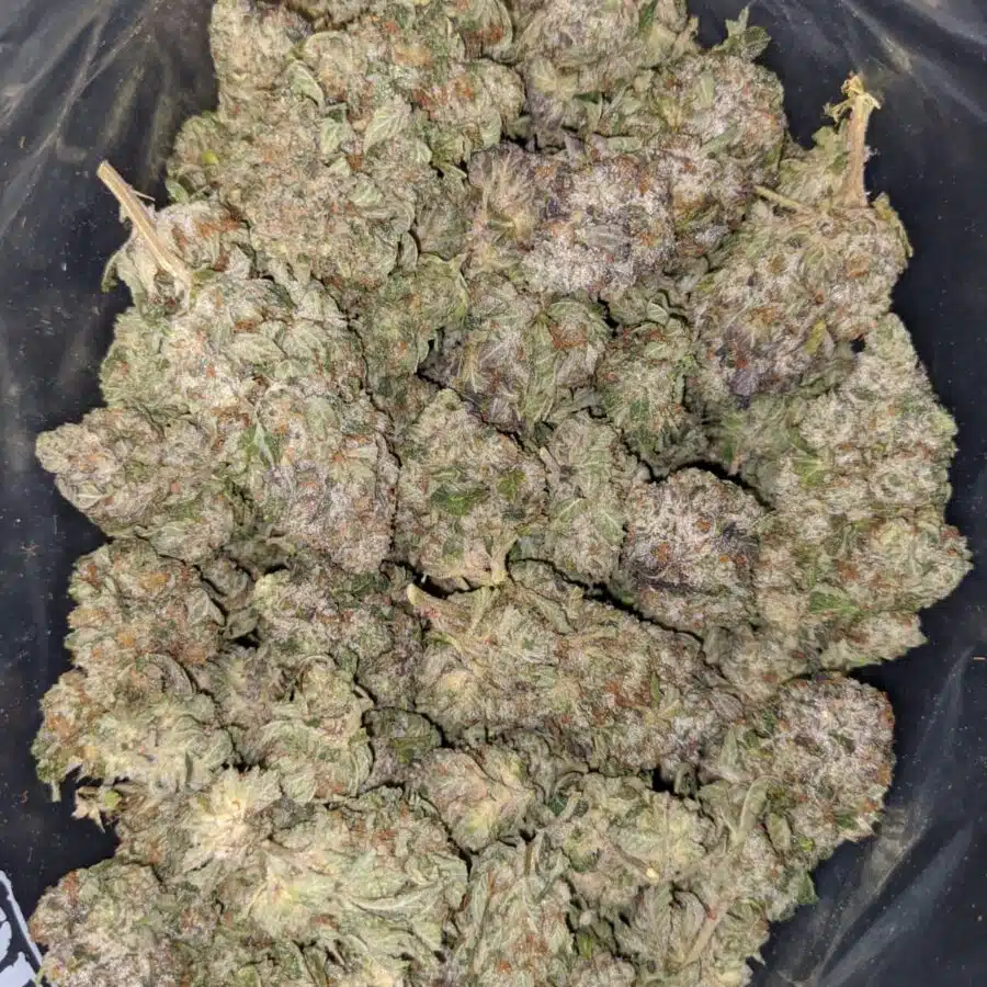 PURPLE BUBBA 7 I Purple Bubba #2