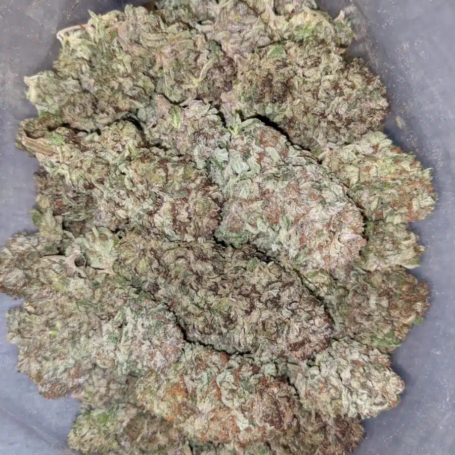 PURPLE CANDY 1 1 I $99 Oz - Purple Candy