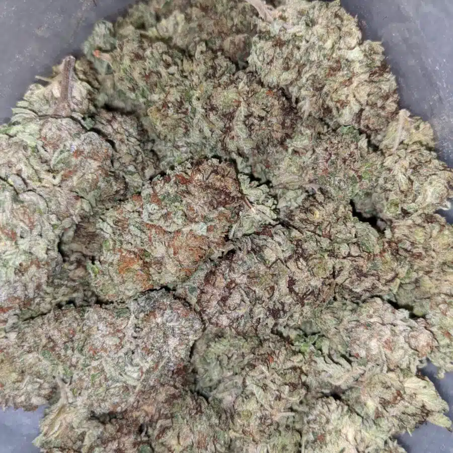 PURPLE CANDY 3 1 I $99 Oz - Purple Candy