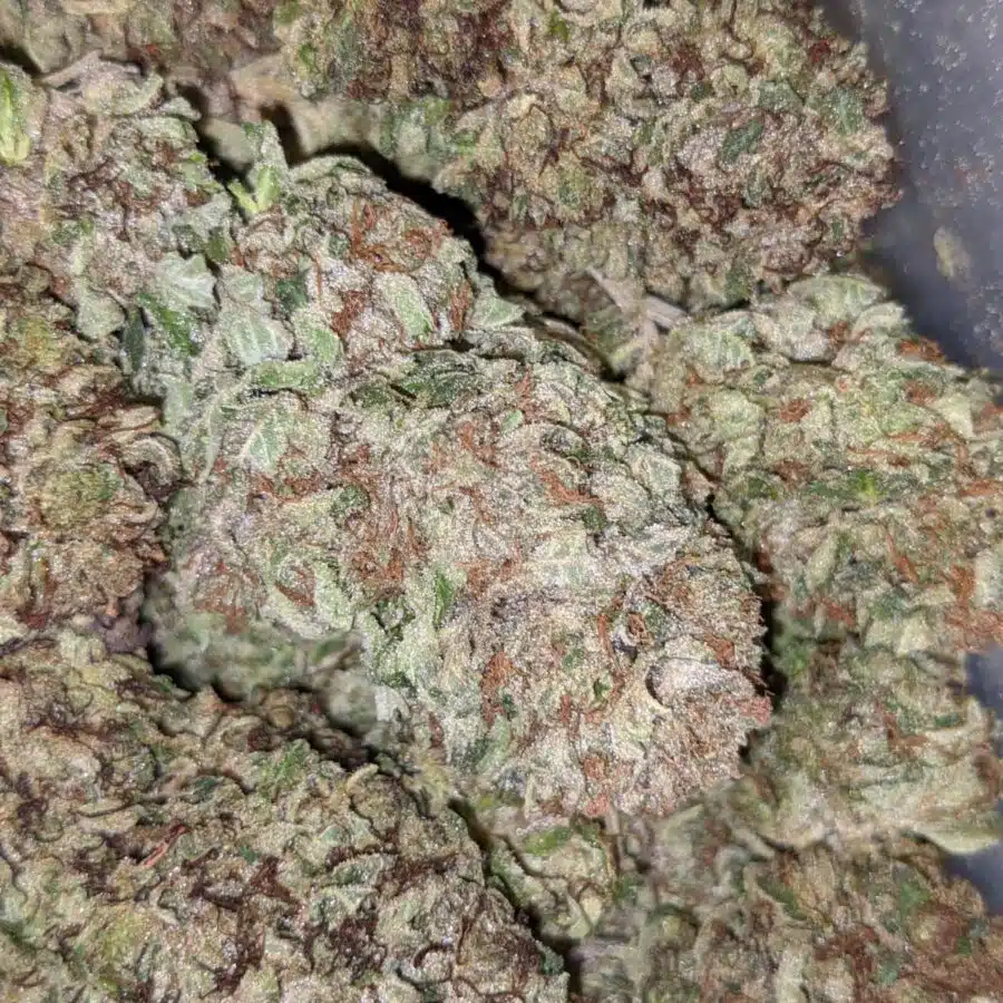 PURPLE CANDY 4 1 I $99 Oz - Purple Candy