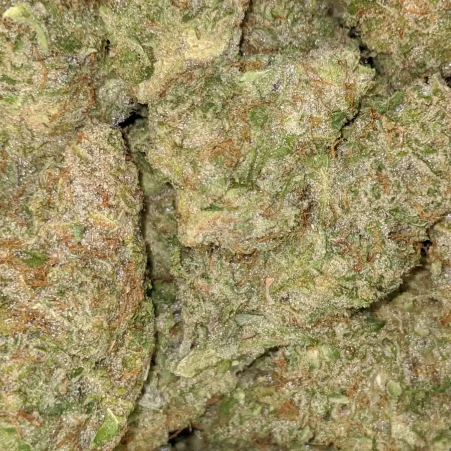 STARBURST 3 I $119 Oz - Starlord