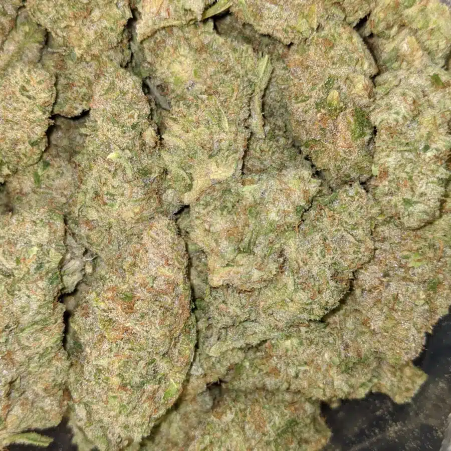 STARBURST 4 I $119 Oz - Starlord