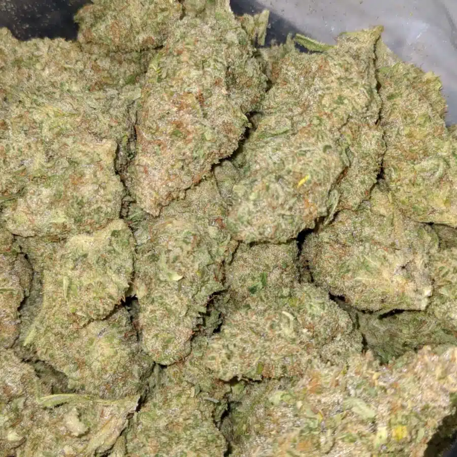 STARBURST 5 I $119 Oz - Starlord