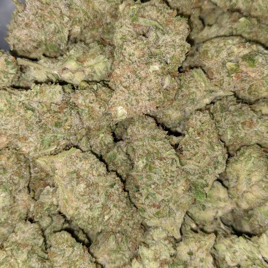 STARBURST 6 I $119 Oz - Starlord