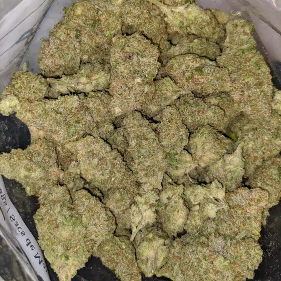 STARBURST 7 I $119 Oz - Starlord