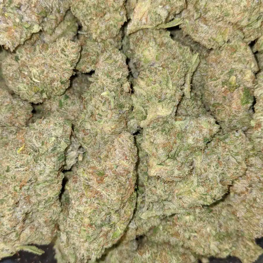 Alternative view of $119 Oz - Starlord