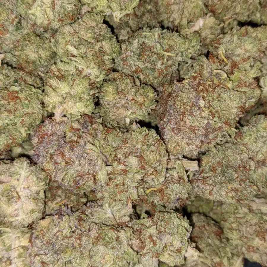 SUGAR SHACK DOD 1 I $79 Oz - Sugar Shack