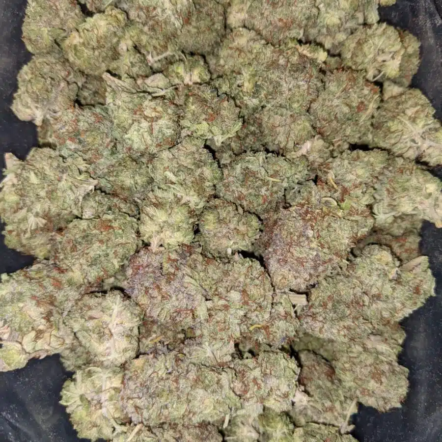 SUGAR SHACK DOD 2 I $79 Oz - Sugar Shack