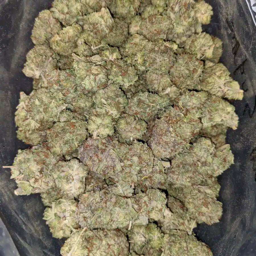 SUGAR SHACK DOD 3 I $79 Oz - Sugar Shack