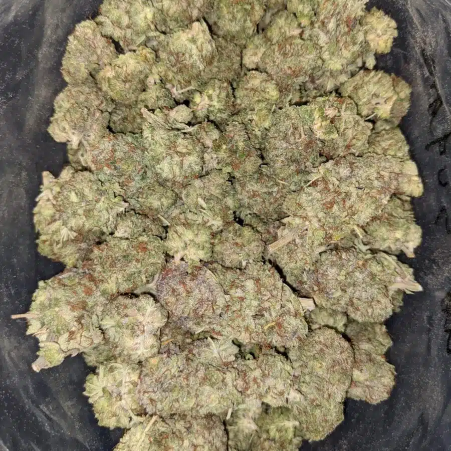 SUGAR SHACK DOD 4 I $79 Oz - Sugar Shack