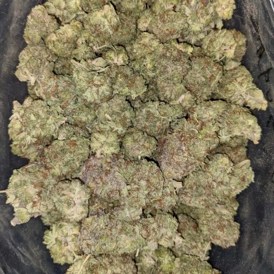 SUGAR SHACK DOD 5 I $79 Oz - Sugar Shack