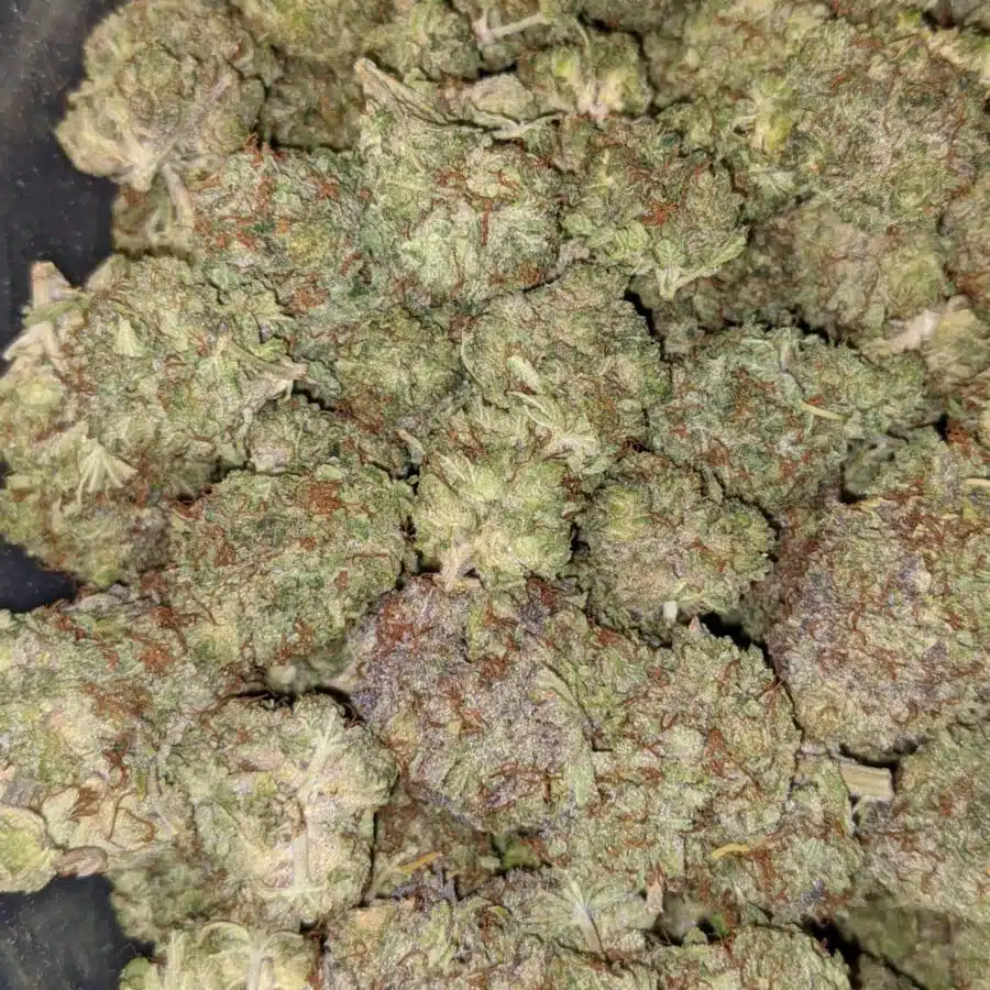 SUGAR SHACK DOD 6 I $79 Oz - Sugar Shack