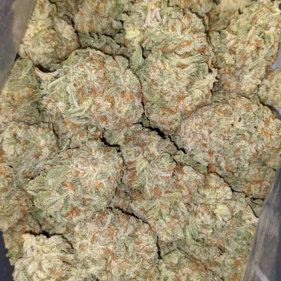 SWEET TOOTH AAA 1 I $89 Oz - Sweet Tooth