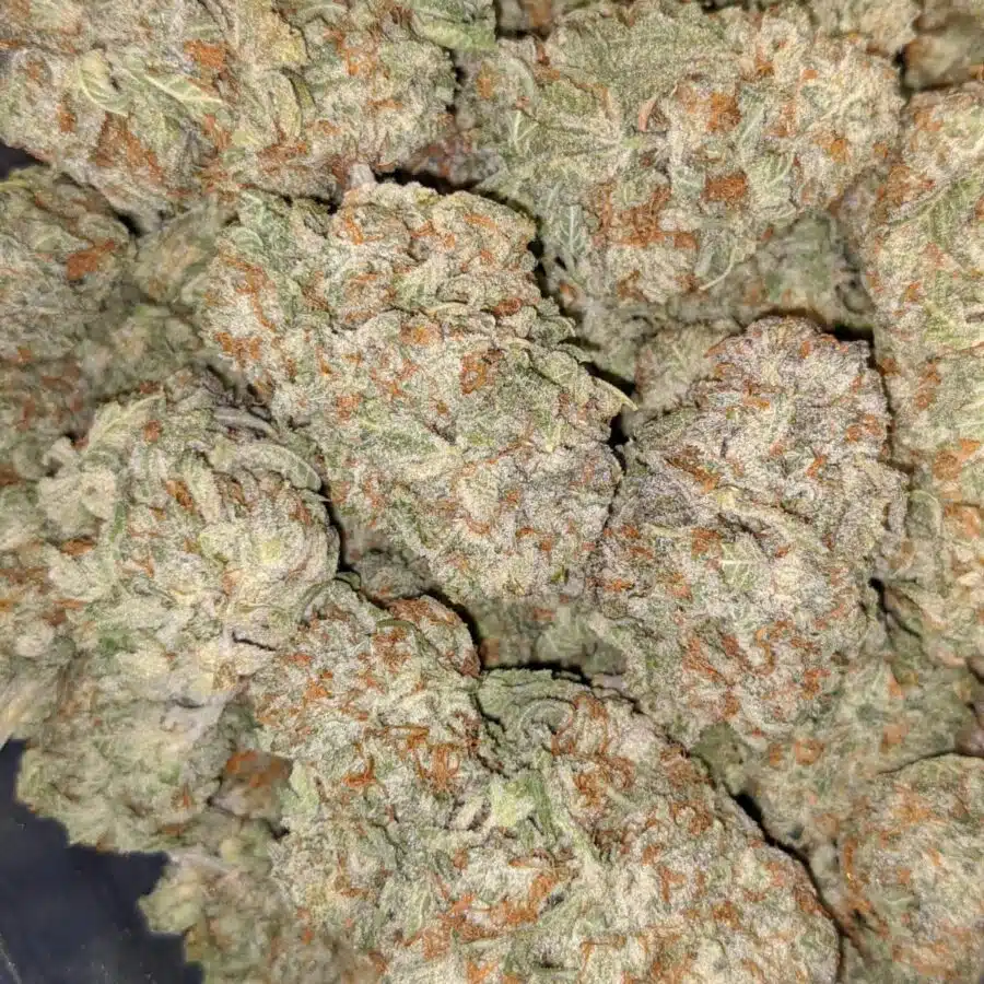 SWEET TOOTH AAA 3 I $89 Oz - Sweet Tooth