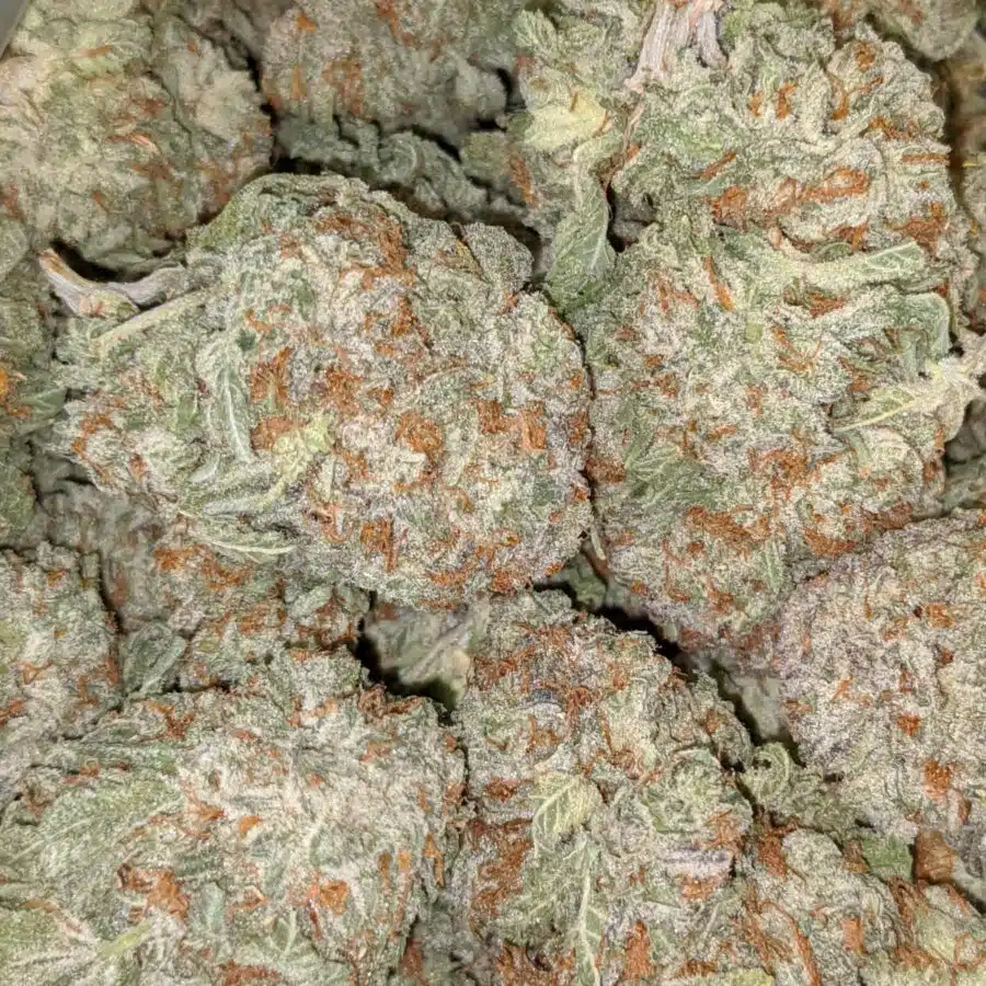 SWEET TOOTH AAA 5 I $89 Oz - Sweet Tooth