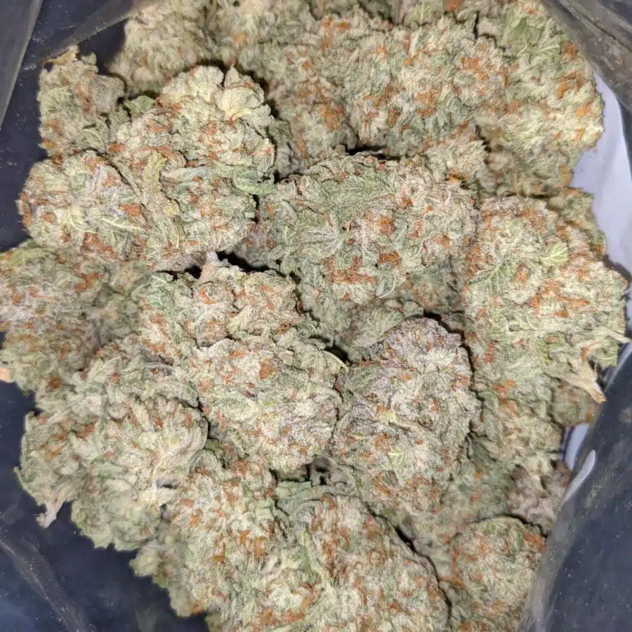 Alternative view of $89 Oz - Sweet Tooth