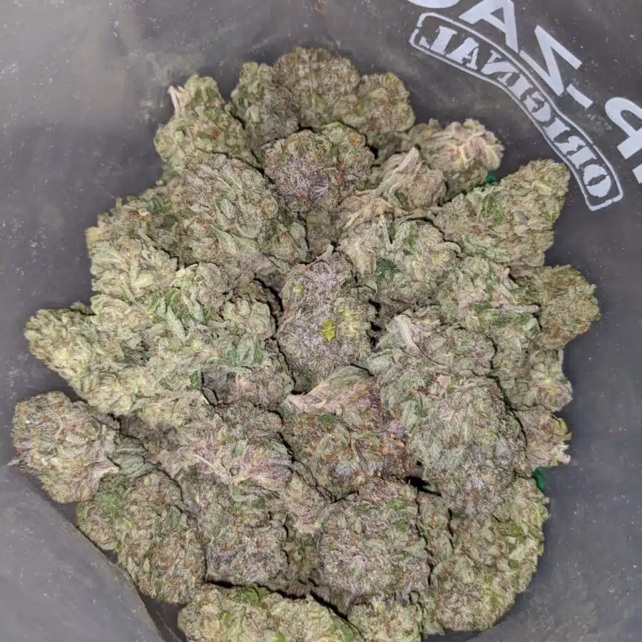 emmas purple bubba 3 I Emma's Purple Bubba