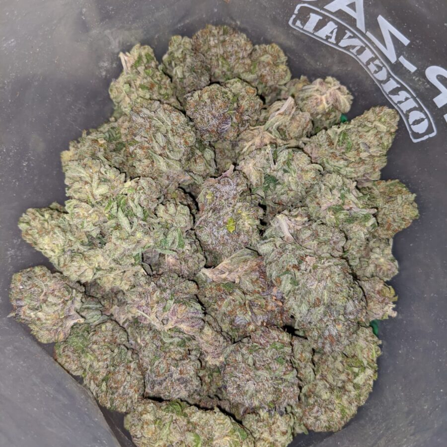 emmas purple bubba 4 I Emma's Purple Bubba