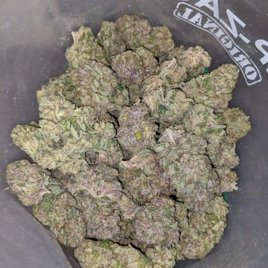 emmas purple bubba 4 I Emma's Purple Bubba