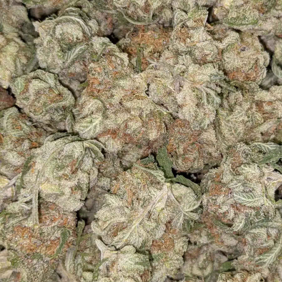 Alternative view of $109 Oz - Larry OG
