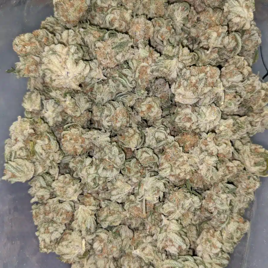 $109 Oz - Larry OG