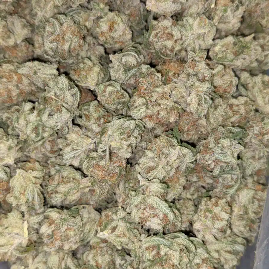 55 LARRY OG 4 I $109 Oz - Larry OG