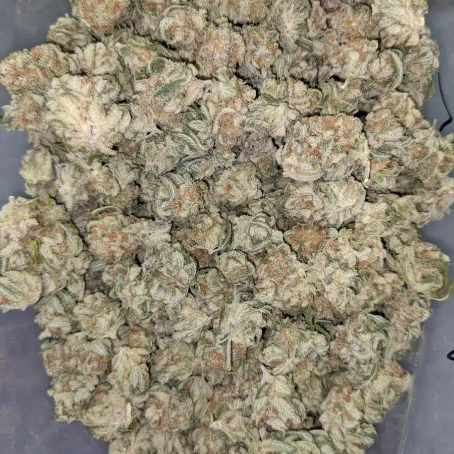 55 LARRY OG 5 I $109 Oz - Larry OG