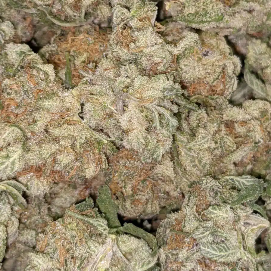 55 LARRY OG 6 I $109 Oz - Larry OG