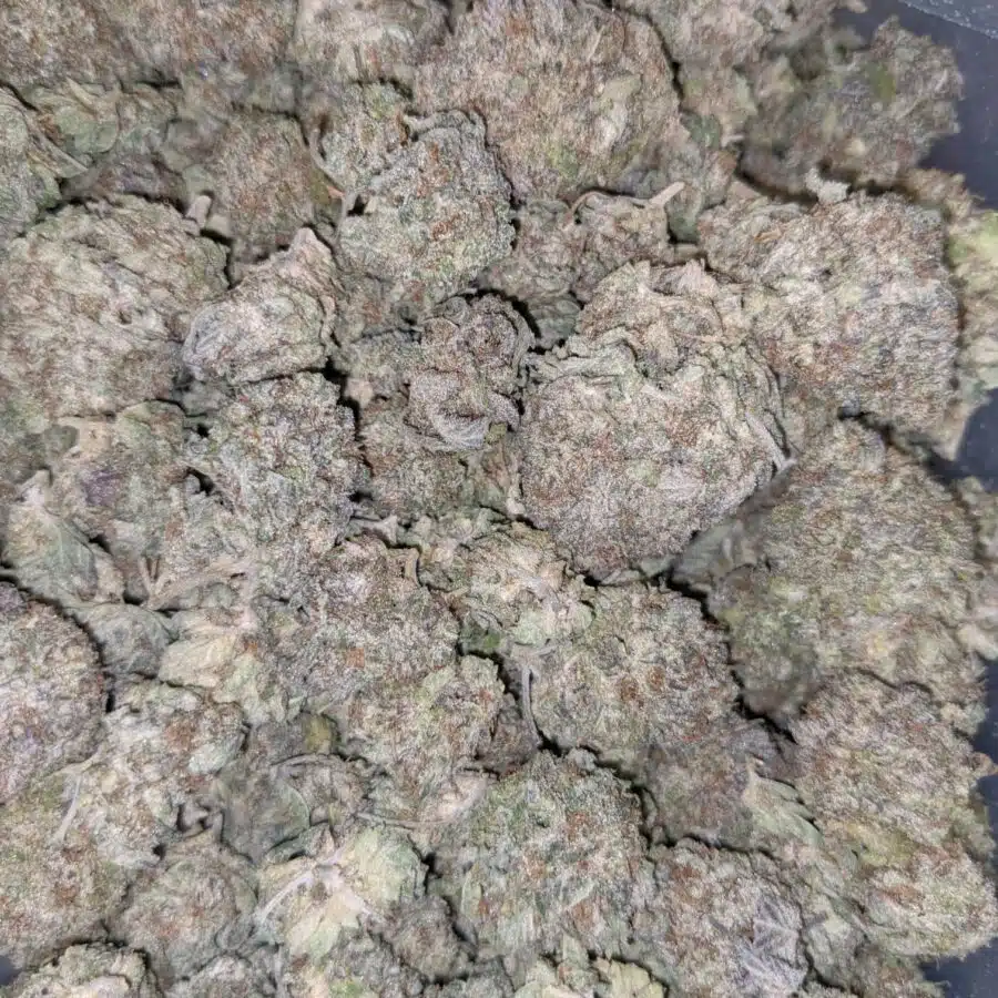 69 ALICE IN WONDERLAND 1 I $125 Oz - Alice in Wonderland