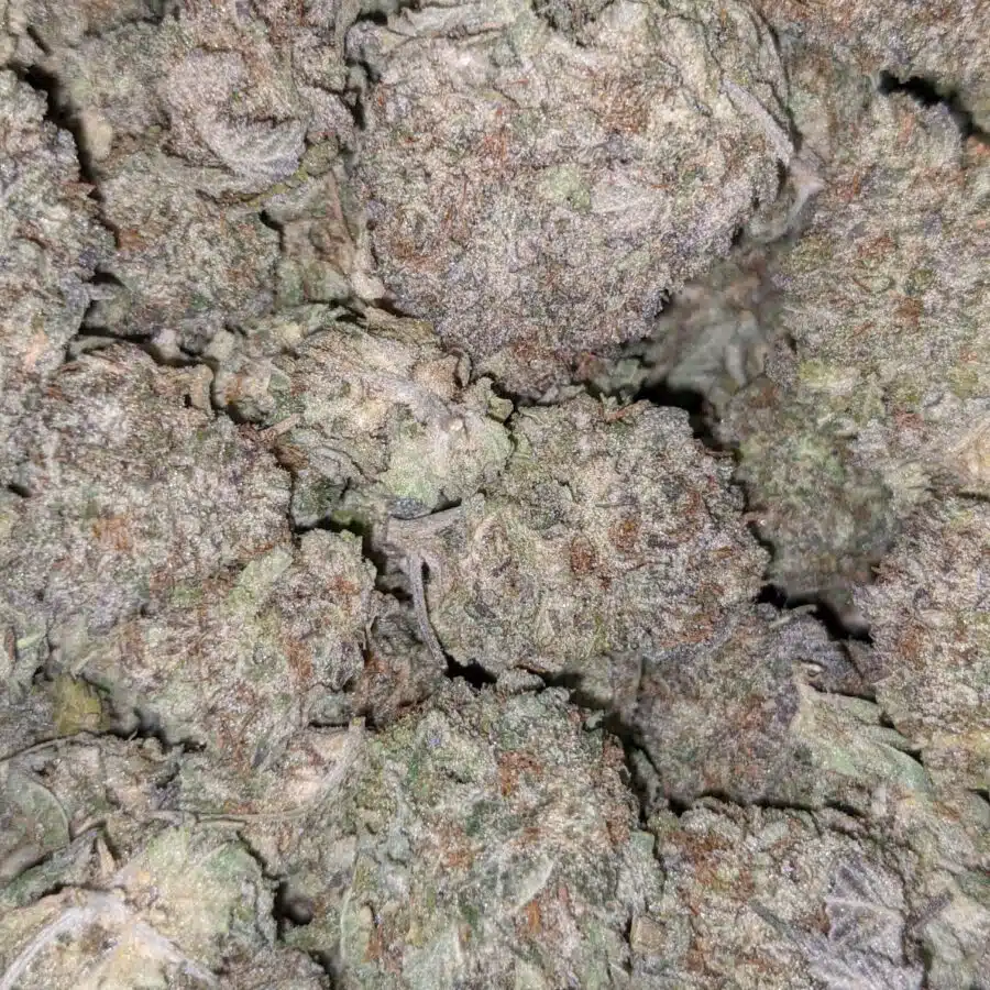 69 ALICE IN WONDERLAND 3 I $125 Oz - Alice in Wonderland
