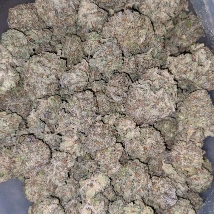 69 ALICE IN WONDERLAND 4 I $125 Oz - Alice in Wonderland