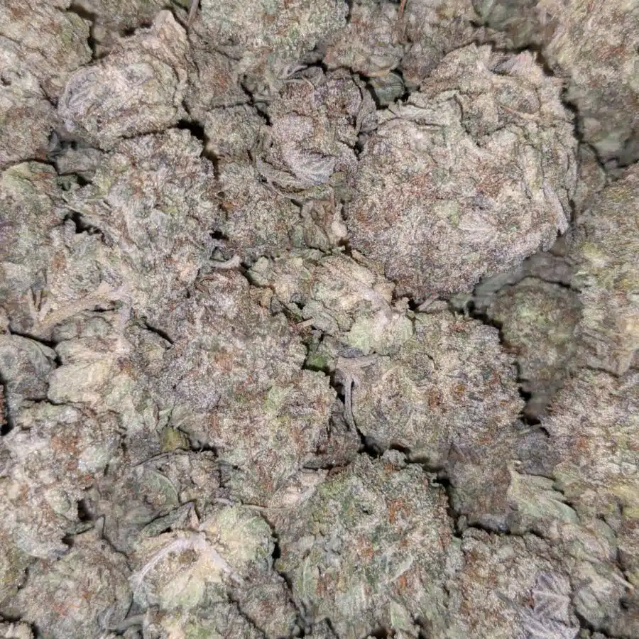 69 ALICE IN WONDERLAND 5 I $125 Oz - Alice in Wonderland