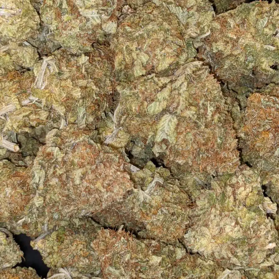69 GHOST TRAIN HAZE 1 1 I $69 Oz - Ghost Train Haze